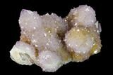 Cactus Quartz (Amethyst) Crystal Cluster - South Africa #137821-2